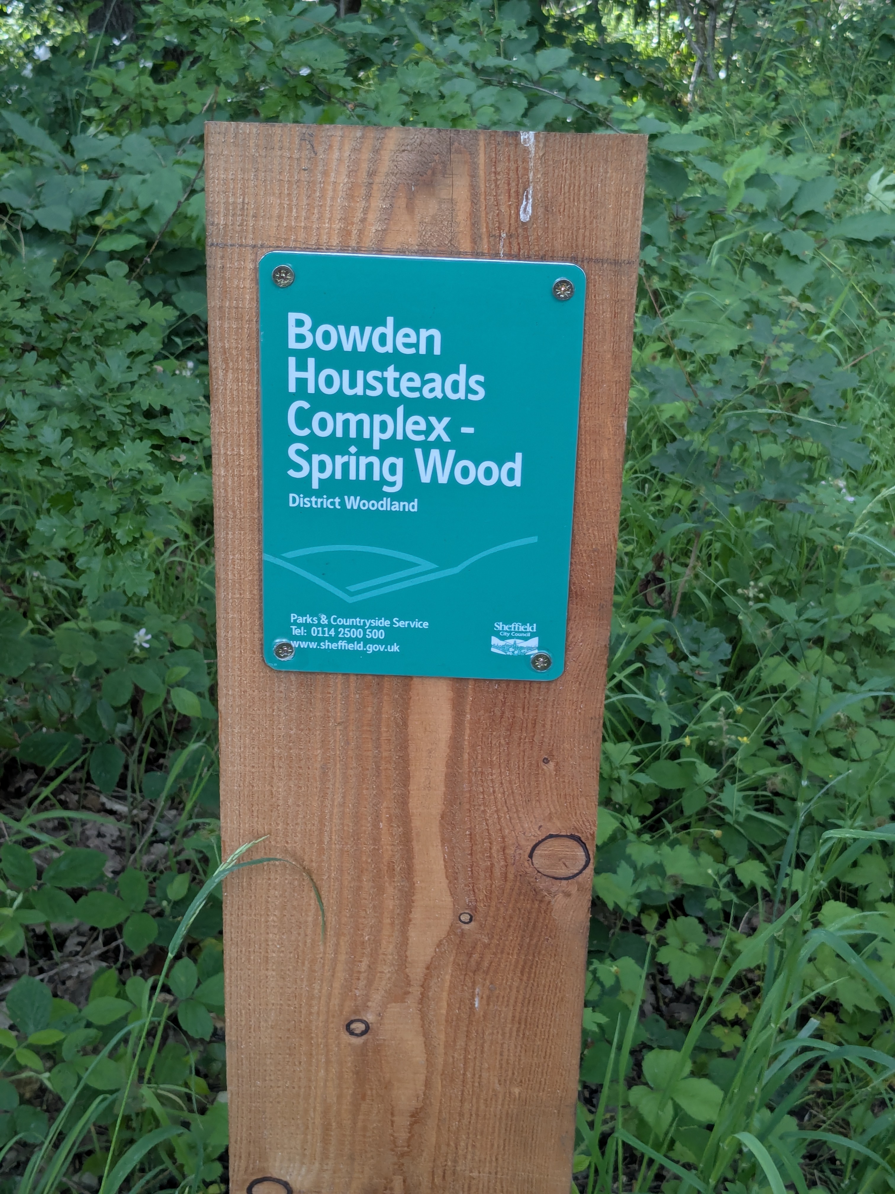 Manor Fields and Bowden Woods